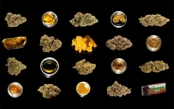 Date De La Fin De La Prohibition Aux Usa High Times Cannabis Cup 2015 quelques images en retour