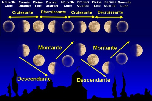 plantation pleine lune