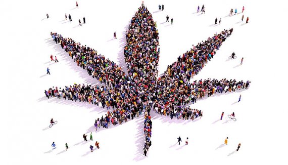 site de rencontre fumeur cannabis